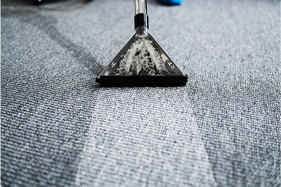 imagen limpieza de tapizados alfombras